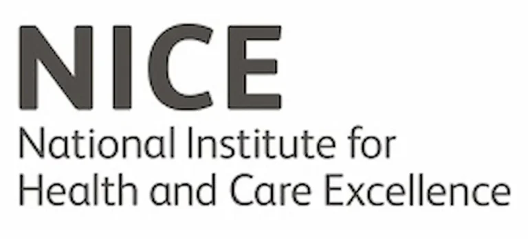 NICE-LOGO
